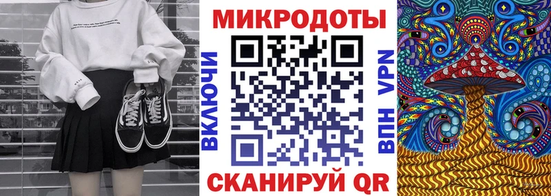 Купить  Старая Русса  Псилоцибиновые грибы Cubensis 
